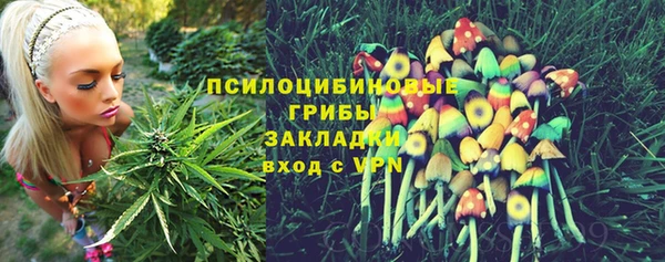 mdpv Пестово