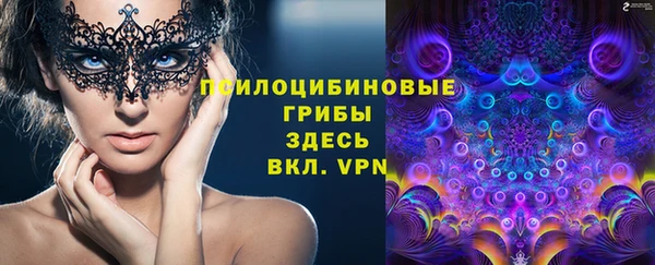 метадон Осташков