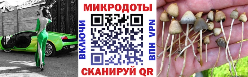 hydra ссылки  Тейково  Псилоцибиновые грибы Psilocybe 